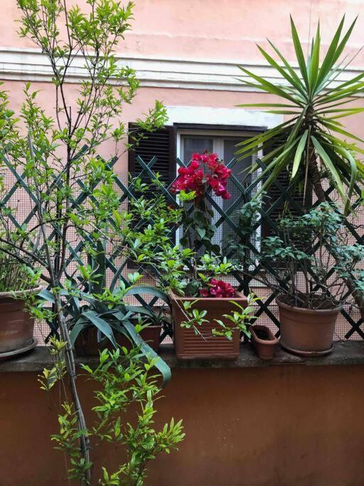 Centro Storico Appartamento Con Terrazza Roma Exterior foto